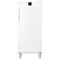 Liebherr FRFvg 5501 Performance Kühlschrank mit Umluftkühlung, Bild 4