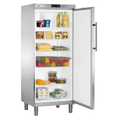 Liebherr GKv 5760-23 ProfiLine Kühlschrank mit Umluftkühlung, Bild 2