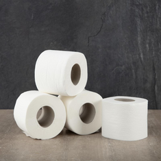 Jantex Toilettenpapier 2-lagig in 36 Rollen Packung, Bild 3
