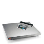 ADE Plattformwaage Serie ADE EHQ2, 60 kg