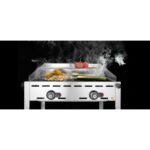 Hendi Grillsystem Green Fire mit 2 Brennern, Profi Line, 2 Edelstahl Grillroste GN 1/1, 11,6kW, 740x612x(H)825mm – Bild 5