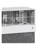 Tefcold Tischkühlschrank FSC100, Weiß, EEK D – Bild 3