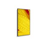 NEC MultiSync® ME651 LCD 65" Message Essential Large Format Display – Bild 3