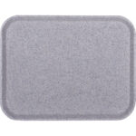 Polyestertablett 460x360 mm, Farbe Granit