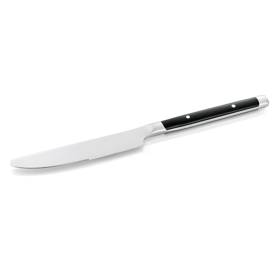 540000_WS_BistroTrend.png Was Germany Menümesser Set BISTRO TREND, 22,5 cm, mit Kunststoffgriff, Set á 12 Stück, Chromstahl 13/0 – Bild 1