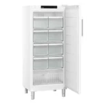Liebherr FFFsg 5501 Performance SmartFrost Gefrierschrank mit Schubladen