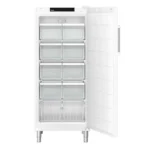 Liebherr FFFsg 5501 Performance SmartFrost Gefrierschrank mit Schubladen – Bild 2