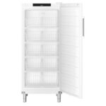 Liebherr FFFsg 5501 Performance Gefrierschrank mit SmartFrost – Bild 2