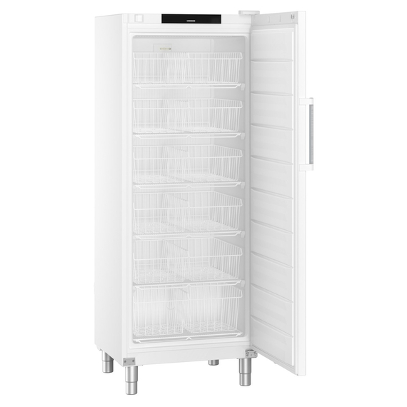 FFFsg_6501.jpg Liebherr FFFsg 6501 Performance Gefrierschrank mit SmartFrost – Bild 1