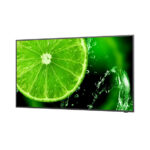 NEC MultiSync® E498 LCD 49" Essential Large Format Display – Bild 2