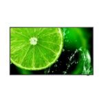 NEC MultiSync® E498 LCD 49" Essential Large Format Display