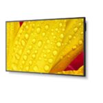 NEC MultiSync® ME651 LCD 65" Message Essential Large Format Display – Bild 2