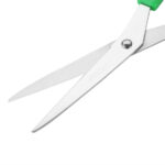 Hygiplas farbkodierte Schere grün – Bild 3