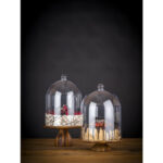 APS Super Dome Polycarbonat-Cloche 300mm – Bild 3