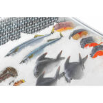 Polar G-Serie Fisch Display servieren über Theke Kühlschrank 175Ltr – Bild 2