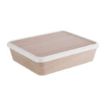 APS Bentobox 300x250mm