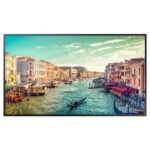 Samsung QM65R--> 38249 65" Display, UHD