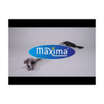 Maxima Gastro Stabmixer - 46 cm Welle - 850W – Bild 8